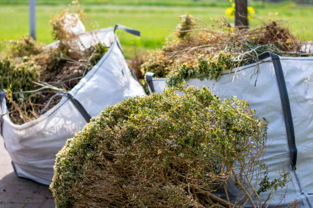 Best Commercial Junk Removal  in Maysville, MO