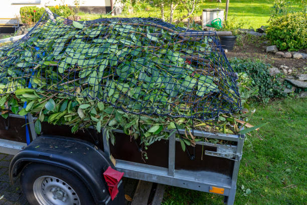 Recycling Services for Junk in Maysville, MO
